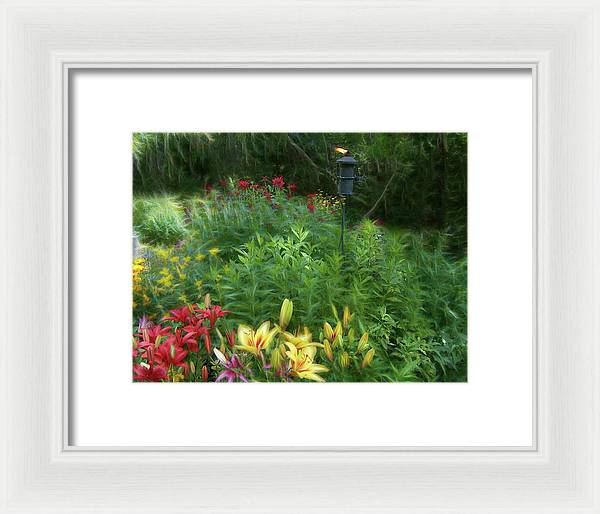 Lily Garden - Framed Print