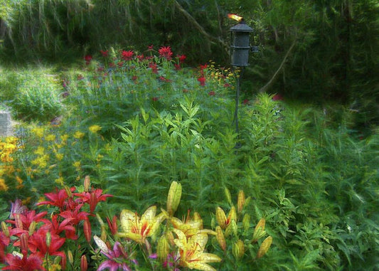 Lily Garden - Puzzle