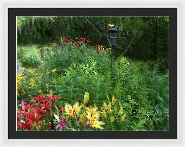 Lily Garden - Framed Print