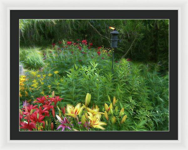 Lily Garden - Framed Print