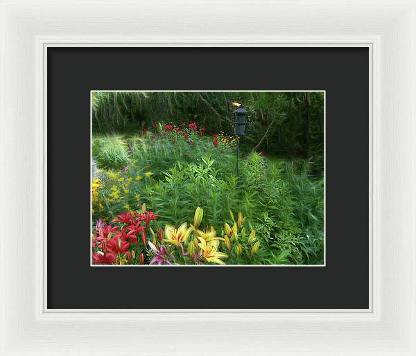 Lily Garden - Framed Print