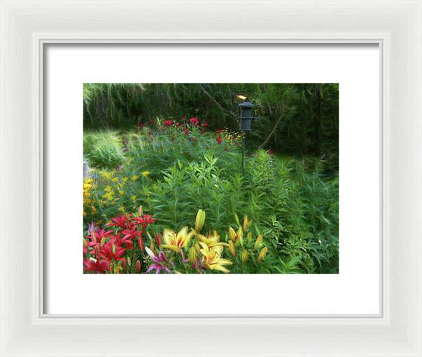 Lily Garden - Framed Print