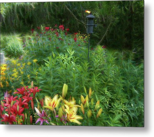Lily Garden - Metal Print