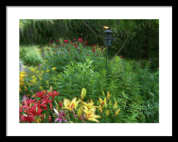Lily Garden - Framed Print