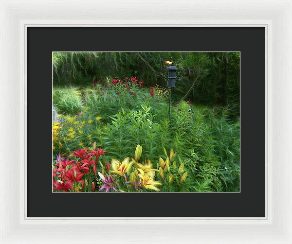 Lily Garden - Framed Print