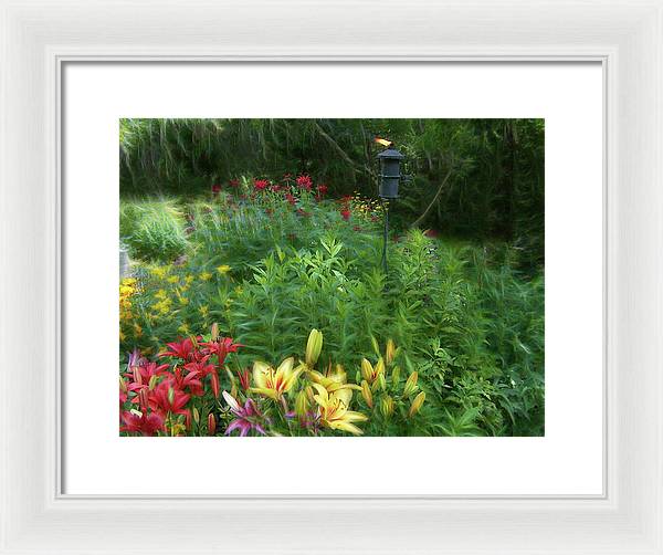 Lily Garden - Framed Print