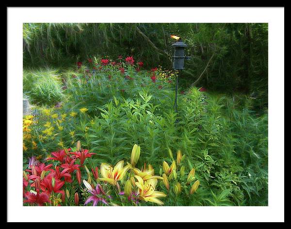 Lily Garden - Framed Print