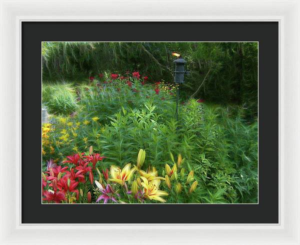 Lily Garden - Framed Print