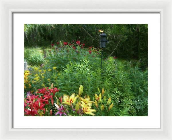 Lily Garden - Framed Print