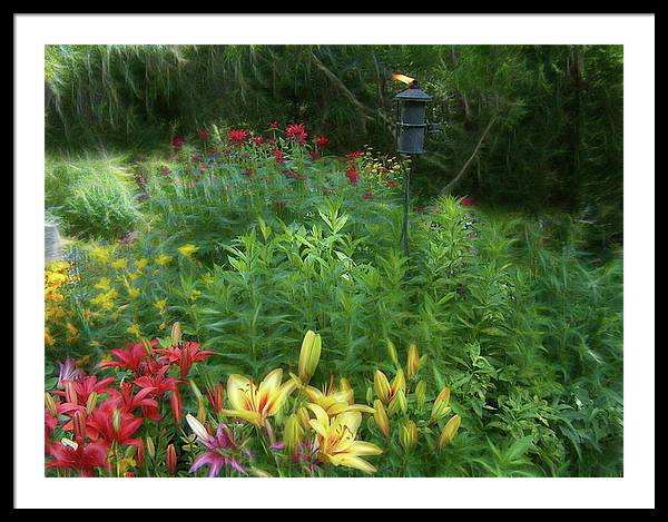Lily Garden - Framed Print