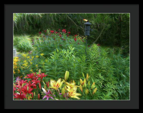 Lily Garden - Framed Print