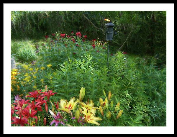 Lily Garden - Framed Print