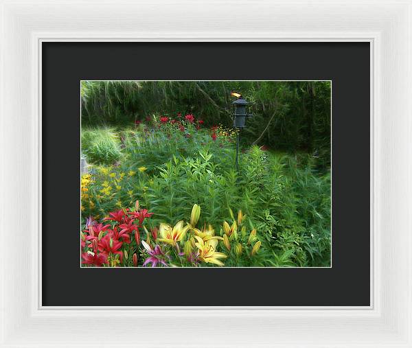 Lily Garden - Framed Print