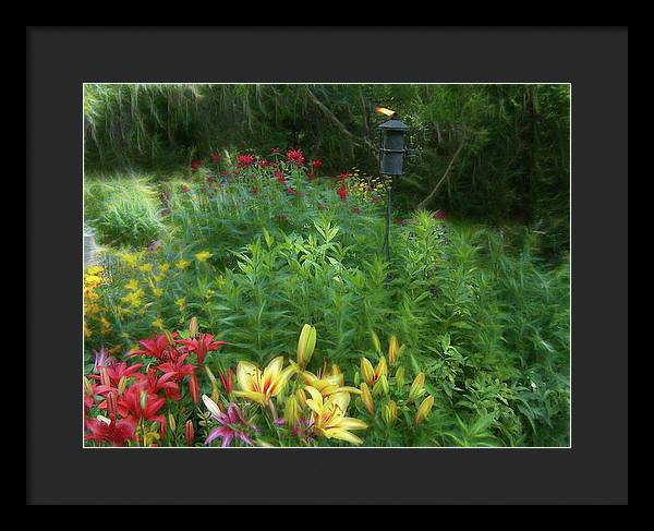 Lily Garden - Framed Print