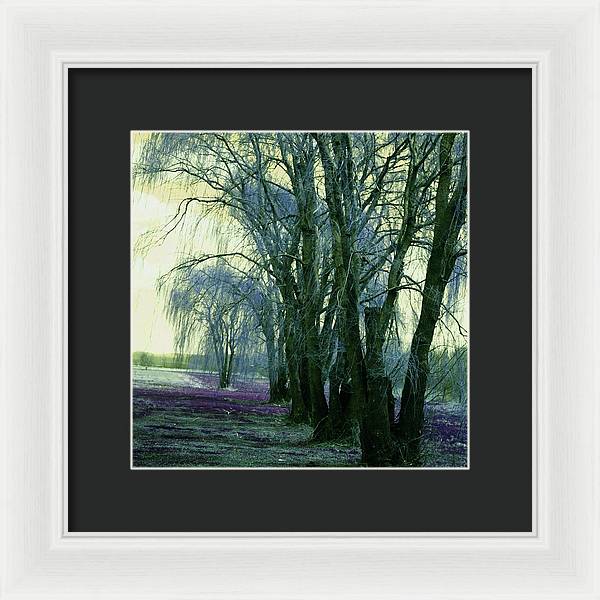 Line of Weeping Willow Trees - Framed Print