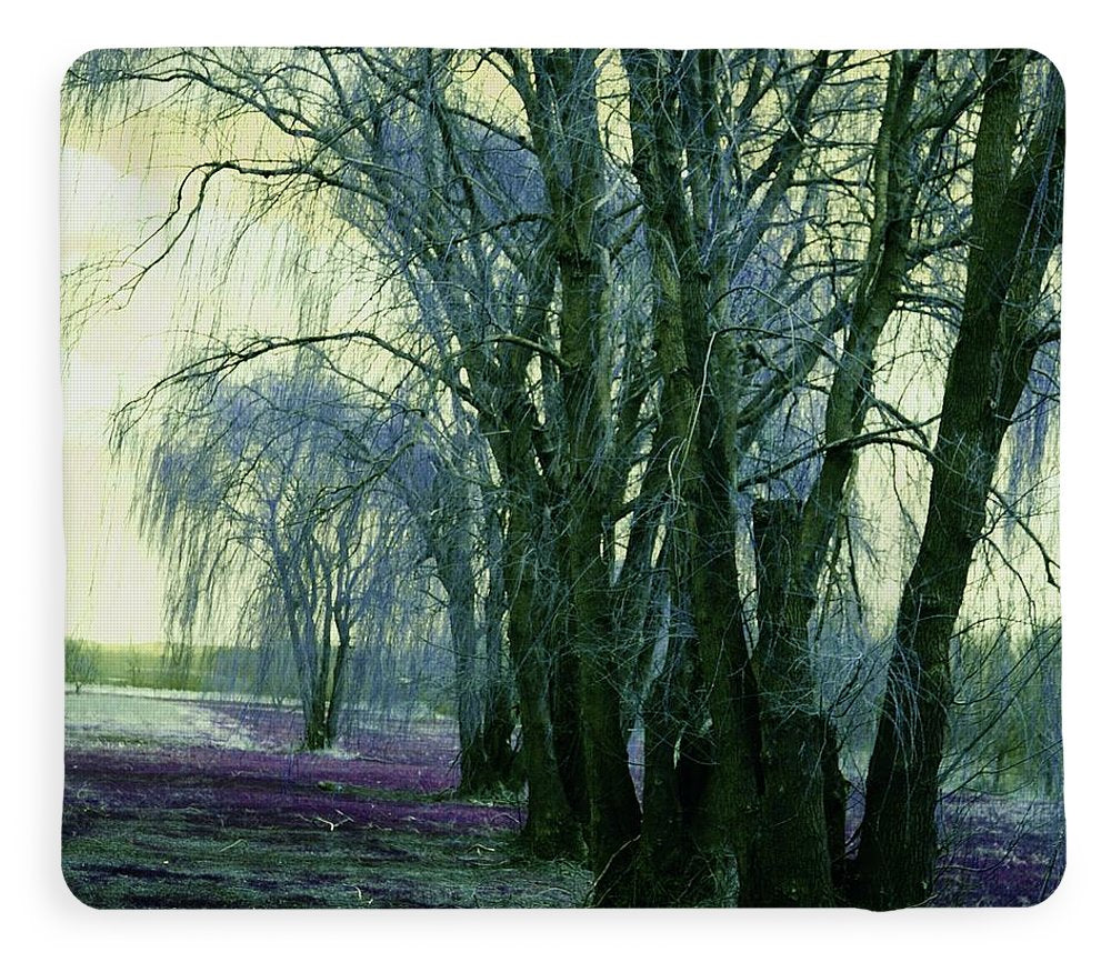 Line of Weeping Willow Trees - Blanket