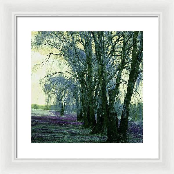 Line of Weeping Willow Trees - Framed Print