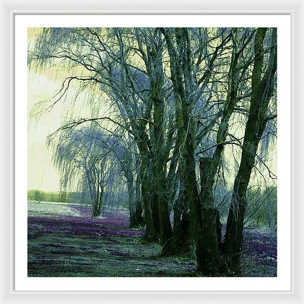 Line of Weeping Willow Trees - Framed Print
