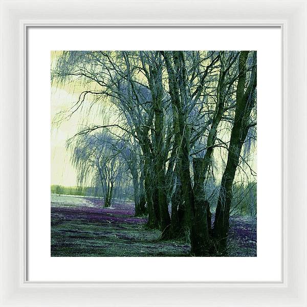 Line of Weeping Willow Trees - Framed Print