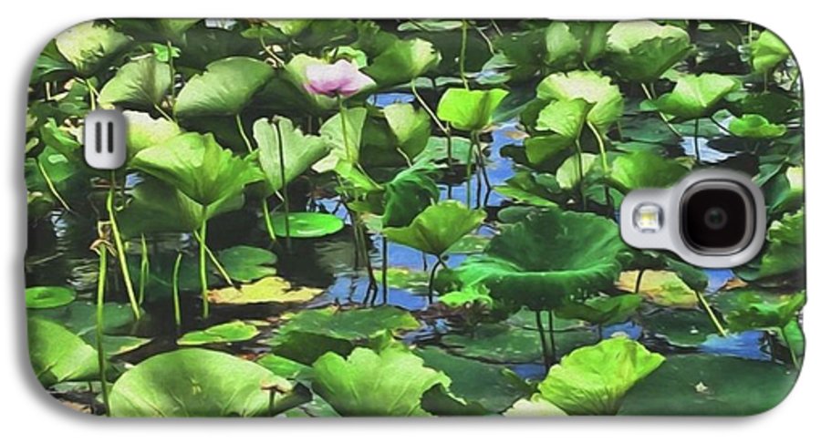 Lotus With Pink Blossom - Phone Case
