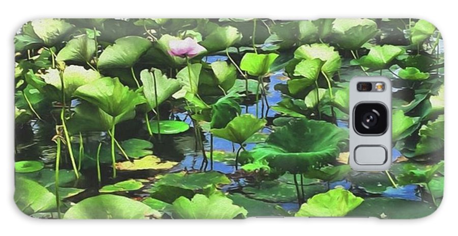 Lotus With Pink Blossom - Phone Case