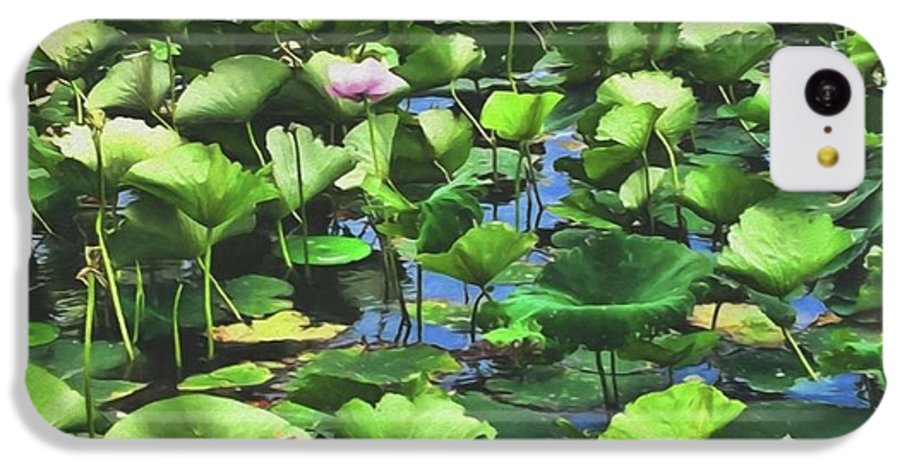 Lotus With Pink Blossom - Phone Case