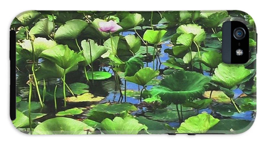 Lotus With Pink Blossom - Phone Case