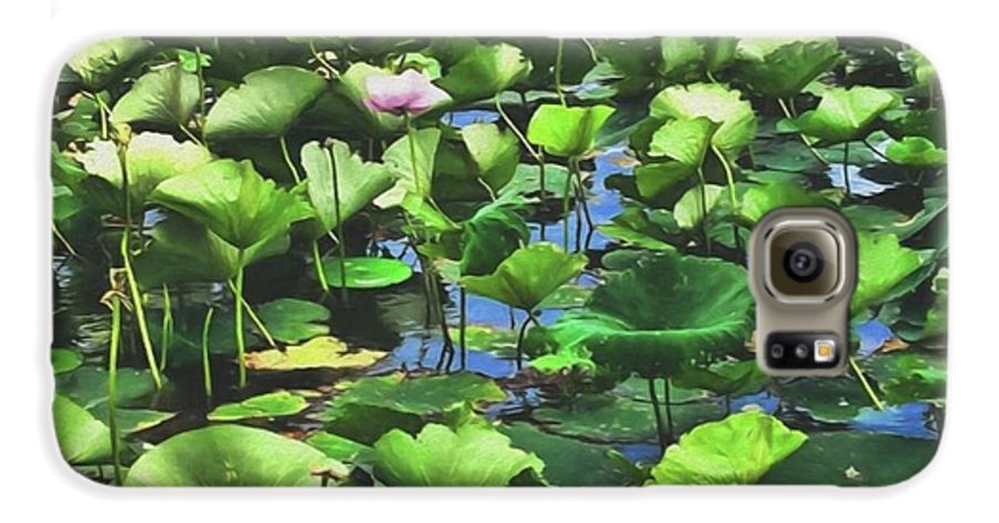 Lotus With Pink Blossom - Phone Case