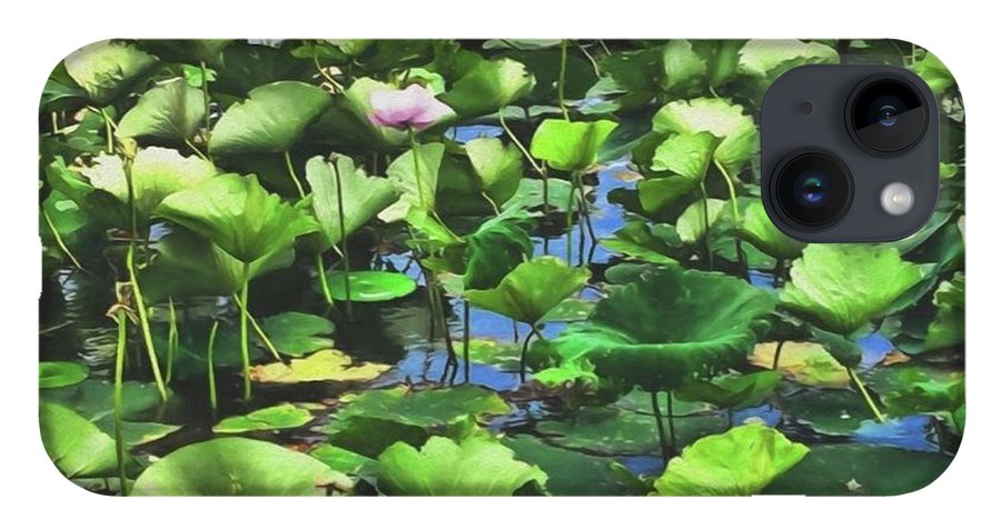 Lotus With Pink Blossom - Phone Case