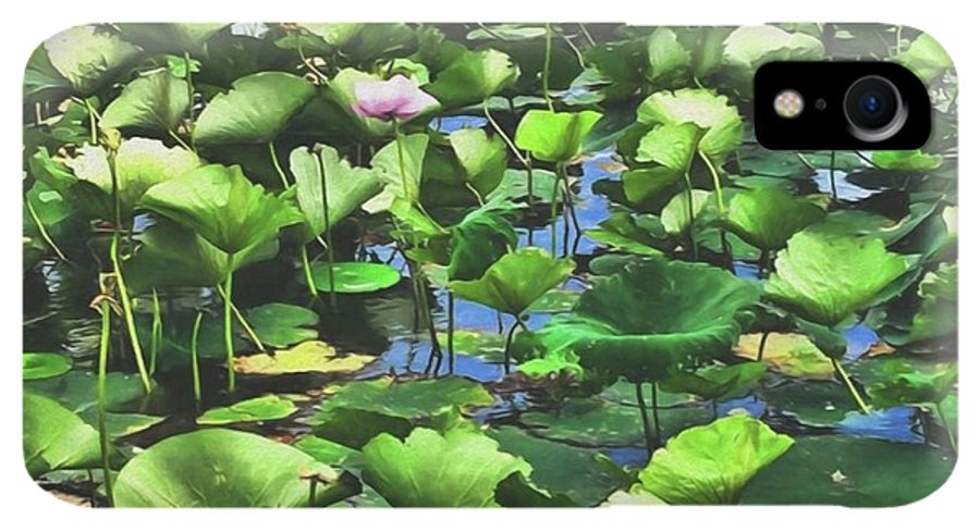 Lotus With Pink Blossom - Phone Case