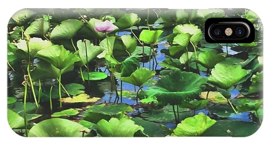 Lotus With Pink Blossom - Phone Case