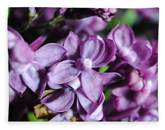 Macro Lilacs - Blanket