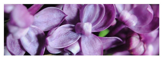 Macro Lilacs - Yoga Mat