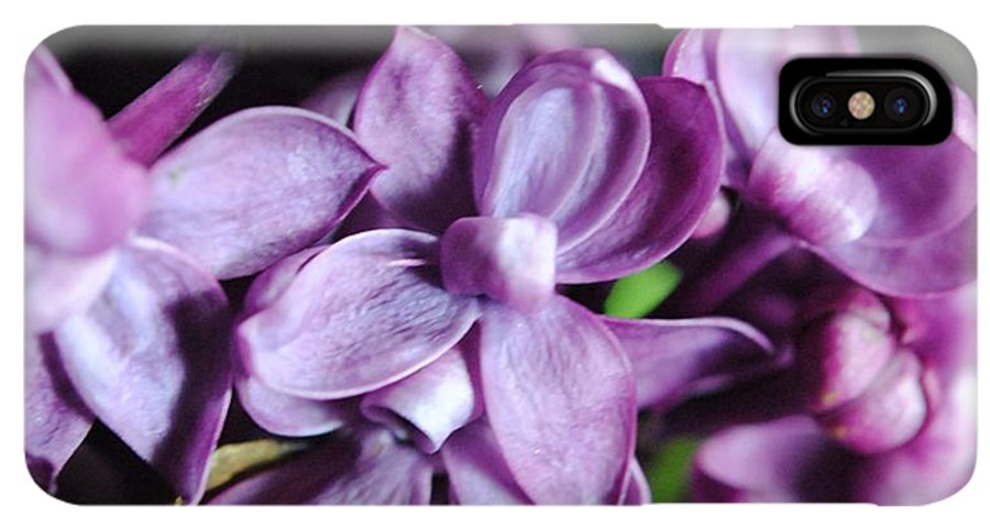 Macro Lilacs - Phone Case