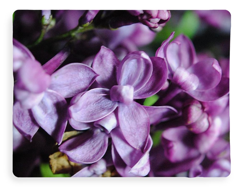 Macro Lilacs - Blanket