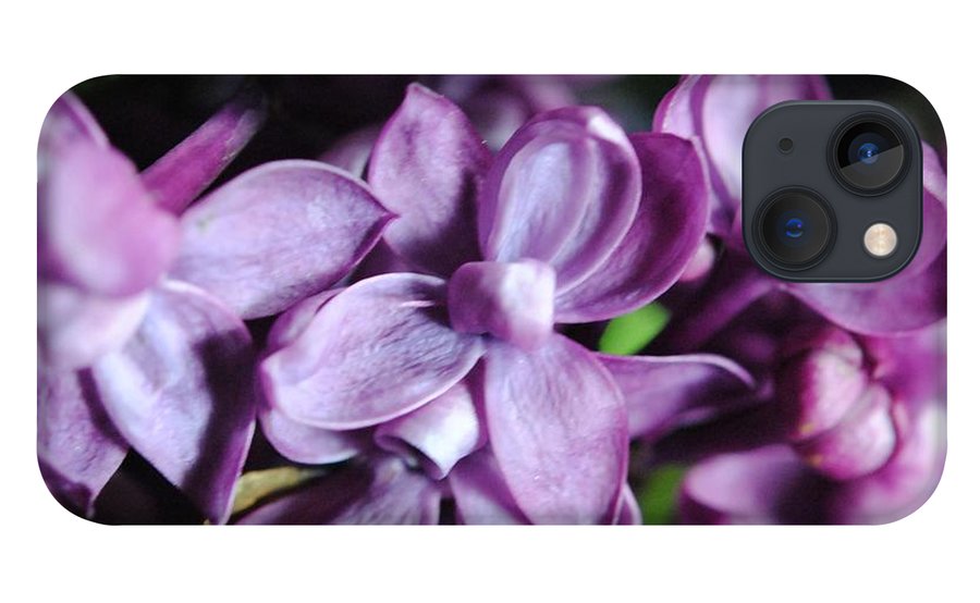 Macro Lilacs - Phone Case