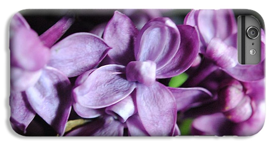 Macro Lilacs - Phone Case