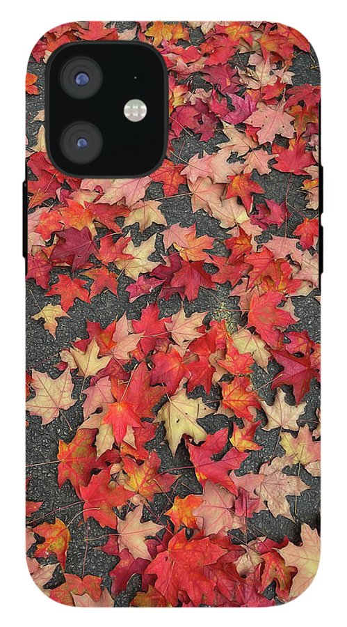 Maple Leaves In October 1 - Phone Case