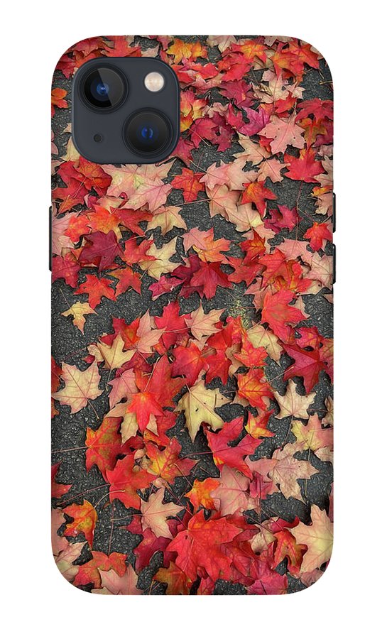Maple Leaves In October 1 - Phone Case