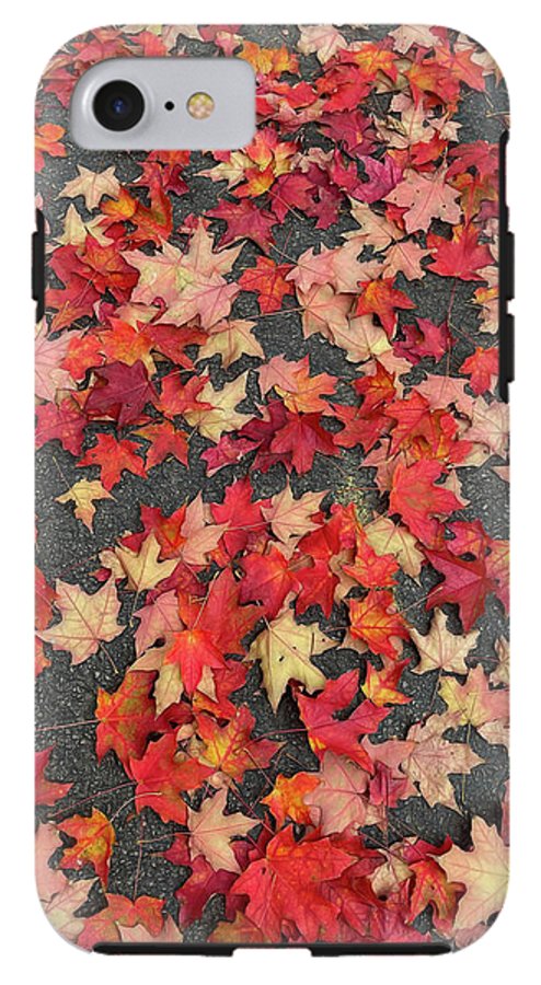 Maple Leaves In October 1 - Phone Case