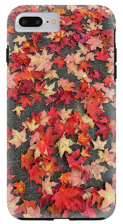 Maple Leaves In October 1 - Phone Case