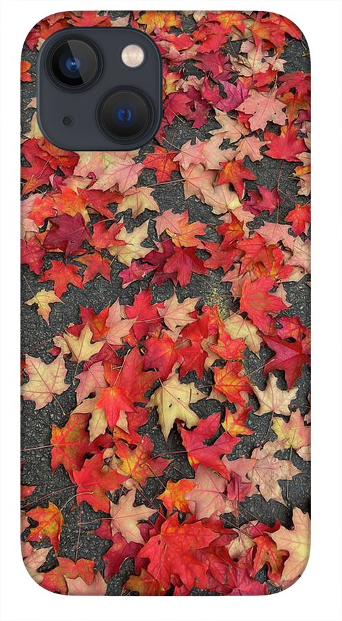 Maple Leaves In October 1 - Phone Case