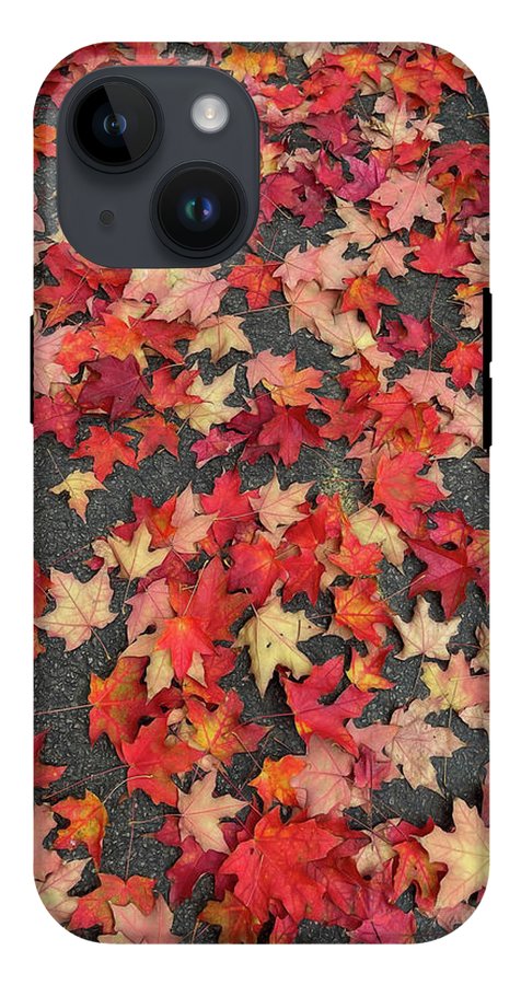 Maple Leaves In October 1 - Phone Case