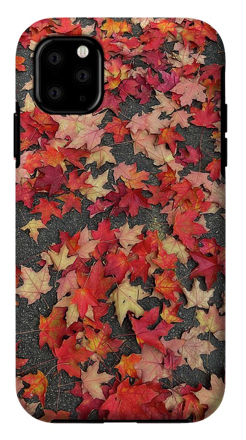 Maple Leaves In October 1 - Phone Case