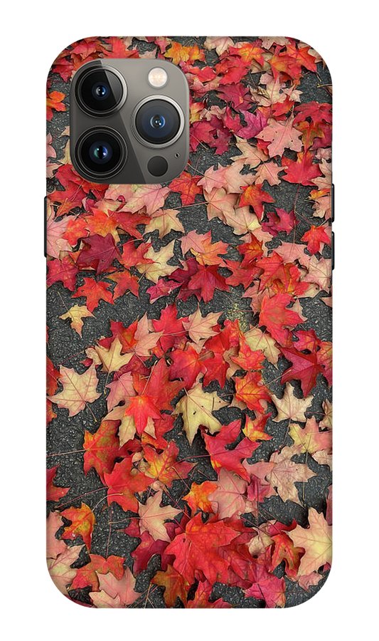 Maple Leaves In October 1 - Phone Case