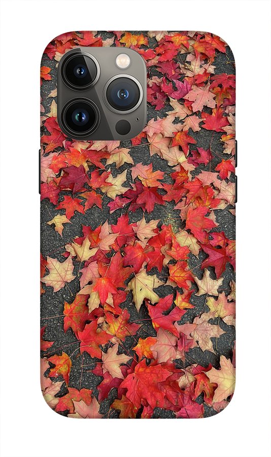 Maple Leaves In October 1 - Phone Case