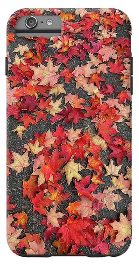 Maple Leaves In October 1 - Phone Case