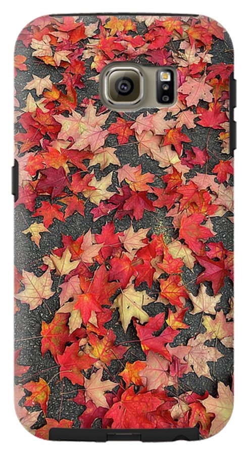 Maple Leaves In October 1 - Phone Case