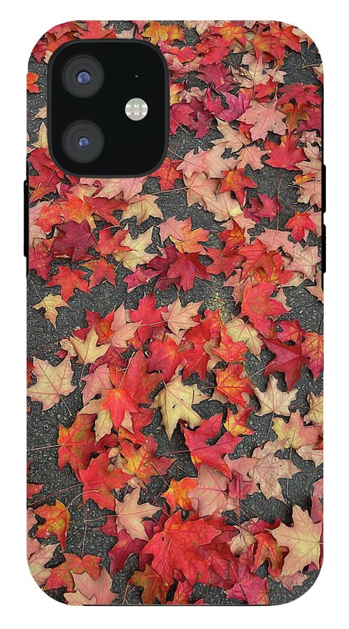 Maple Leaves In October 1 - Phone Case