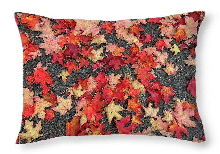 Maple Leaves In October 1 - Throw Pillow